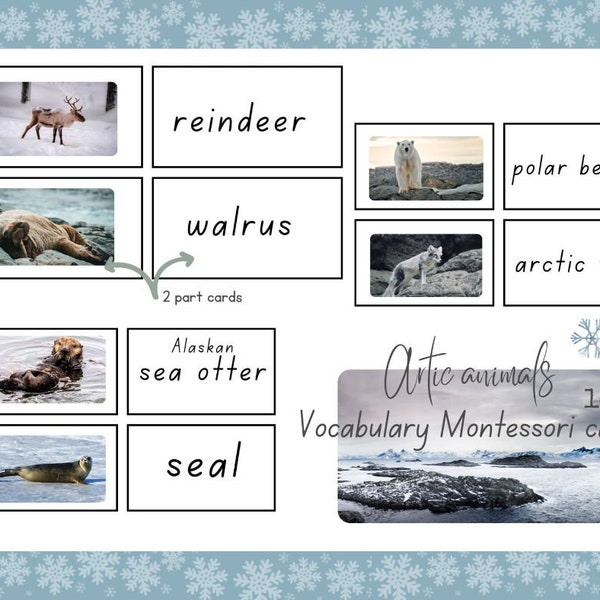 reggio inspired ARTIC ANIMAL flash cards | VOCABULARY