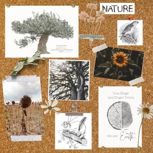 NATURE inspired classroom POSTERS BUNDLE| reggio emillia |forest school| nature board
