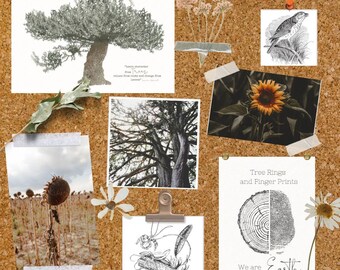 NATURE inspired classroom POSTERS BUNDLE| reggio emillia |forest school| nature board