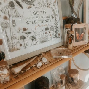 May include: A framed print with a nature-themed design and the text "I go to learn where the wild things grow". The print is displayed on a shelf with various glass jars, a wooden sculpture, and other decorative items.
