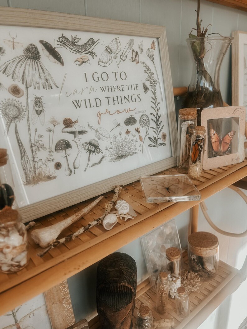 May include: A framed print with a nature-themed design and the text "I go to learn where the wild things grow". The print is displayed on a shelf with various glass jars, a wooden sculpture, and other decorative items.