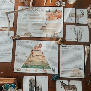 Mini unidad de estudio sobre la clasificación de los animales