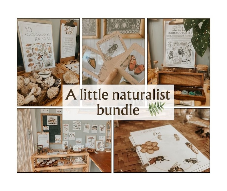 K&ouml;nnte beinhalten: Eine Sammlung von druckbaren, naturbezogenen Bildungsressourcen f&uuml;r Kinder. Das Set beinhaltet ein Naturtagebuch, einen Barfu&szlig;kinderf&uuml;hrer und Insekten-Bestimmungskarten. Die Ressourcen werden auf einem Holztisch mit einem Korb voller Naturmaterialien pr&auml;sentiert.