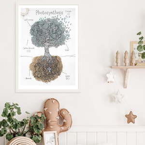 Photosynthese Poster-Charlotte Mason