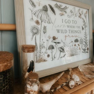 May include: A framed print with a nature illustration and the text "I go to learn where the wild things grow". The print is on a shelf with various glass jars and a branch with shells.