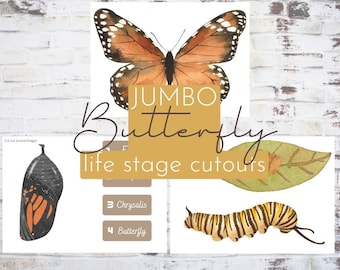 jumbo butterfly life stage cut outs/ probs