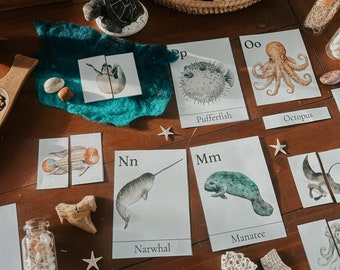 OCEAN ANIMAL early learning morning work pack