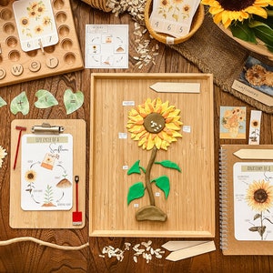 Mini sunflower MORNING BASKET / pack