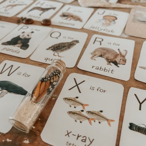Alfabeto animal de A a Z FLASHCARDS - inspirado em Reggio - wildschool