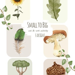 size sorting cards