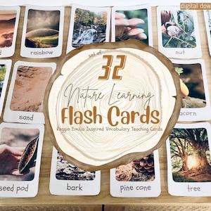 TARJETAS DE NATURALEZA inspiradas en Reggio Emilia: vida real ~ aprendizaje de la naturaleza ~ vocabulario natural