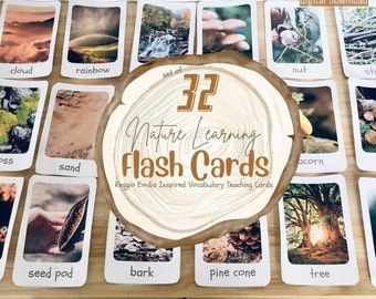 Reggio emilia inspired NATURE FLASH CARDS- real life ~ nature learning ~natural vocabulary