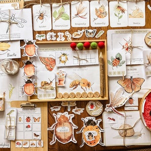 May include: Educational insect-themed learning materials. The image displays flashcards, wooden cutouts, and activity sheets featuring various insects like beetles, butterflies, and bees. The materials are arranged on a wooden surface, with a focus on educational play.