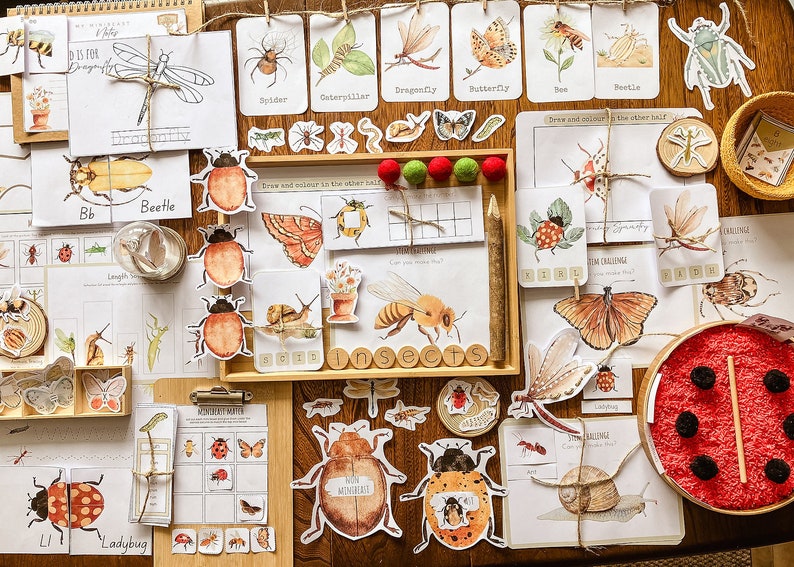May include: Educational insect-themed learning materials. The image displays flashcards, wooden cutouts, and activity sheets featuring various insects like beetles, butterflies, and bees. The materials are arranged on a wooden surface, with a focus on educational play.