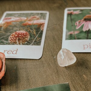 Op de afbeelding: Drie kaarten met afbeeldingen van paddenstoelen, een roze bloem en de woorden "rood", "roze" erop geschreven. Een helder kwartskristal en twee verfpotten zijn ook zichtbaar.