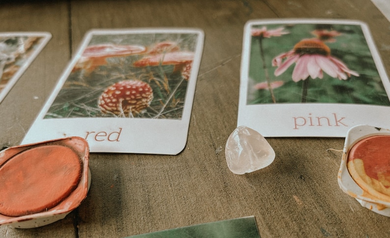 Op de afbeelding: Drie kaarten met afbeeldingen van paddenstoelen, een roze bloem en de woorden "rood", "roze" erop geschreven. Een helder kwartskristal en twee verfpotten zijn ook zichtbaar.