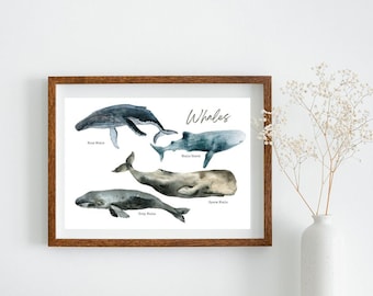 whale poster - DIGITAL DOWNLOAD - custom sizing