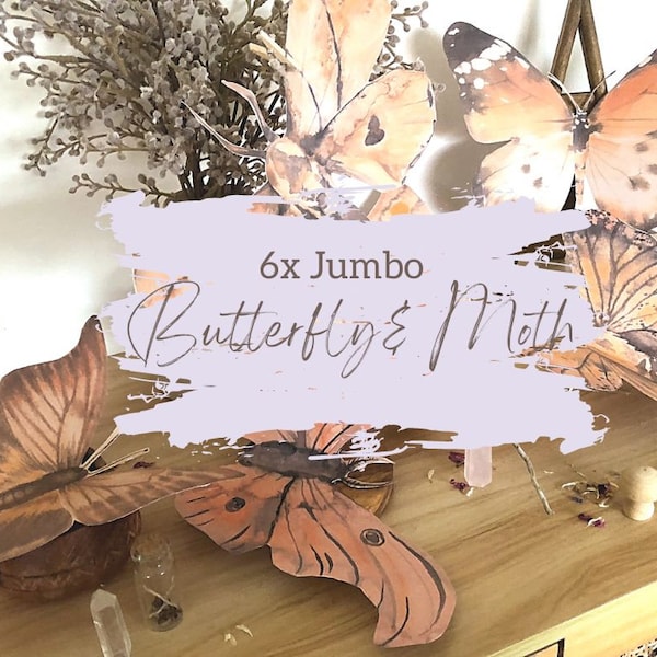 6x jumbo moth & butterfly props | add ons to your butterfly or moth units | morning basket