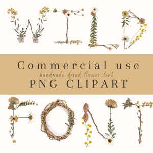 Wild lettertype - commercieel gebruik, png - clipart