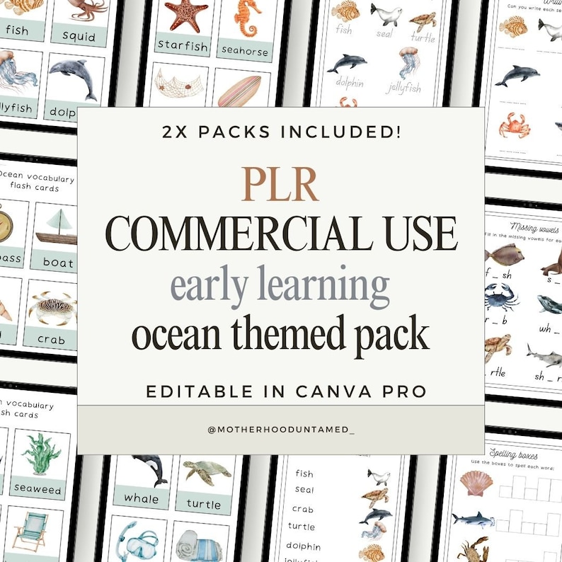 May include: An educational ocean-themed pack with flashcards and spelling exercises. The pack includes various sea creatures like fish, dolphins, and turtles. The text on the image reads "PLR COMMERCIAL USE early learning ocean themed pack".