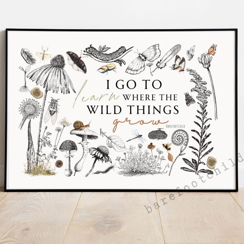 May include: Black and white illustration of various plants, insects, and mushrooms with the text "I go to learn where the wild things grow" in brown script.