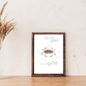Anatomie d&#39;un crabe apprentissage naturel imprimable