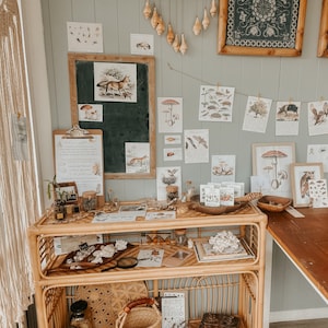 May include: A light wood shelf unit with two shelves, filled with various items, including a magnifying glass, a book, and a collection of small jars. The shelf is against a light green wall with a collection of framed prints featuring nature scenes and animals.