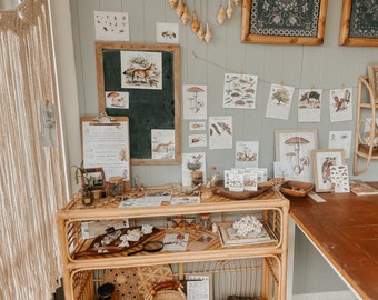 Little naturalist DECOR pack - A charlotte Mason inspired curio /natural classroom display