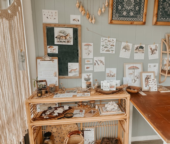 Little naturalist DECOR pack - A charlotte Mason inspired curio /natural classroom display