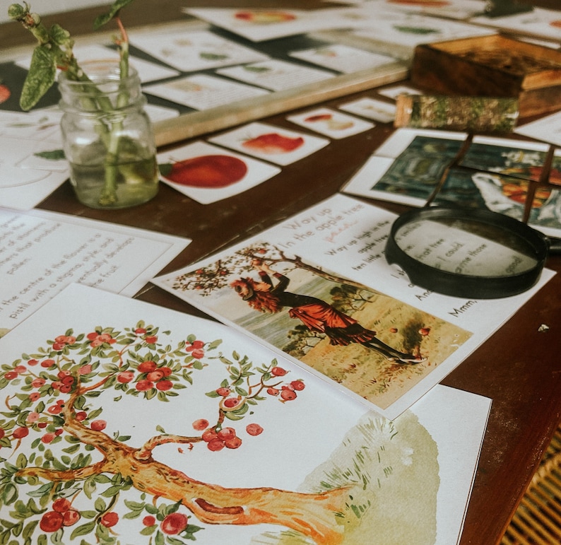 Pu&ograve; includere: Un'illustrazione vintage di una ragazza che raccoglie mele da un albero. L'illustrazione &egrave; stampata su una carta bianca con un bordo marrone. Il testo "Way up in the apple tree" &egrave; stampato sulla carta. L'illustrazione &egrave; circondata da altre carte con varie immagini e testi.