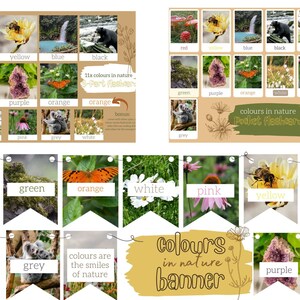 Op de afbeelding: Een kleurrijk spandoek met de tekst "kleuren in de natuur banner" en afbeeldingen van de natuur in verschillende kleuren, waaronder rood, geel, blauw, zwart, groen, paars, oranje, wit, roze en bruin. De banner is perfect voor een klaslokaal of een speelkamer.