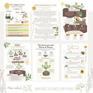 Nature science posters