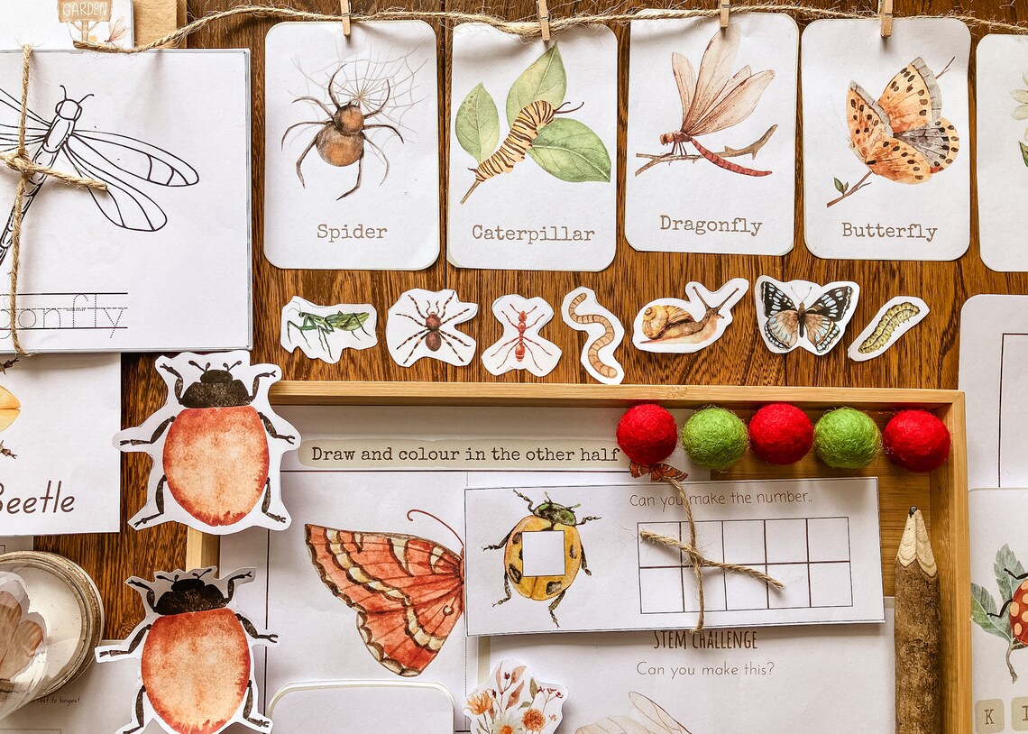 Mini Beast - Insect MORNING BASKET BUNDLE - Etsy