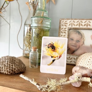 Op de afbeelding: Een close-up van een gele bloem met een bij erop. De bloem is scherp, de bij is wazig. De afbeelding is in een wit kader met het woord "geel" onderaan.
