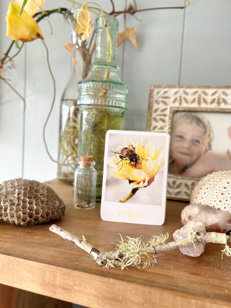 Op de afbeelding: Een close-up van een gele bloem met een bij erop. De bloem is scherp, de bij is wazig. De afbeelding is in een wit kader met het woord "geel" onderaan.
