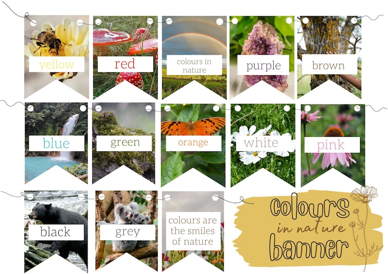 Op de afbeelding: Een kleurrijk spandoek met afbeeldingen van de natuur en de woorden "kleuren in de natuur banner". Het spandoek bevat afbeeldingen van een bij, paddenstoelen, een regenboog, amethist, een boomstam, een waterval, mos, een vlinder, witte bloemen, roze bloemen, een beer, koala's en wilde bloemen. Het spandoek is perfect voor een klaslokaal of een speelkamer.