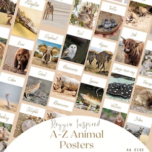 A-z animales pósters