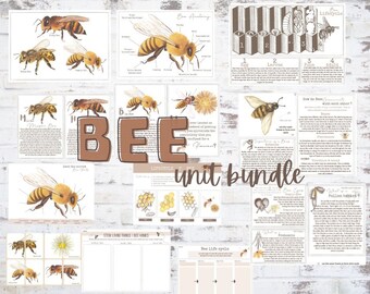 mini bee study flashcards