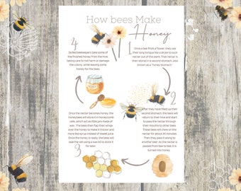 how bees make honey BEE STUDY printable
