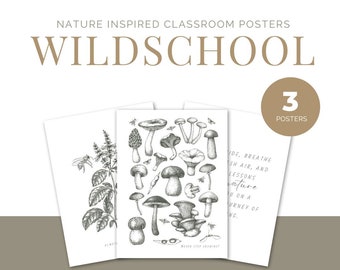 REGGIO INSPIRED Nature classroom posters- vintage  x3 WILDSCHOOL