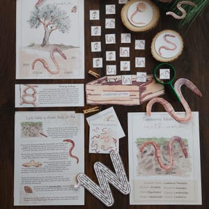 May include: Educational earthworm-themed set with watercolor illustrations. Includes cards with diagrams, a wooden box with lowercase letters, wooden cutouts, and a magnifying glass. The set is designed for learning about earthworms.