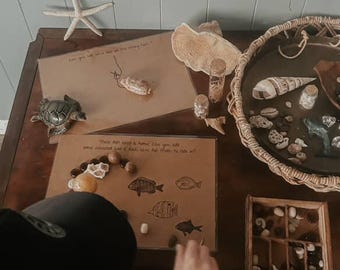 reggio inspired OCEAN THEMED- 14x nature loose part provocation mats