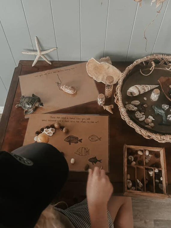 reggio inspired OCEAN THEMED- 14x nature loose part provocation mats