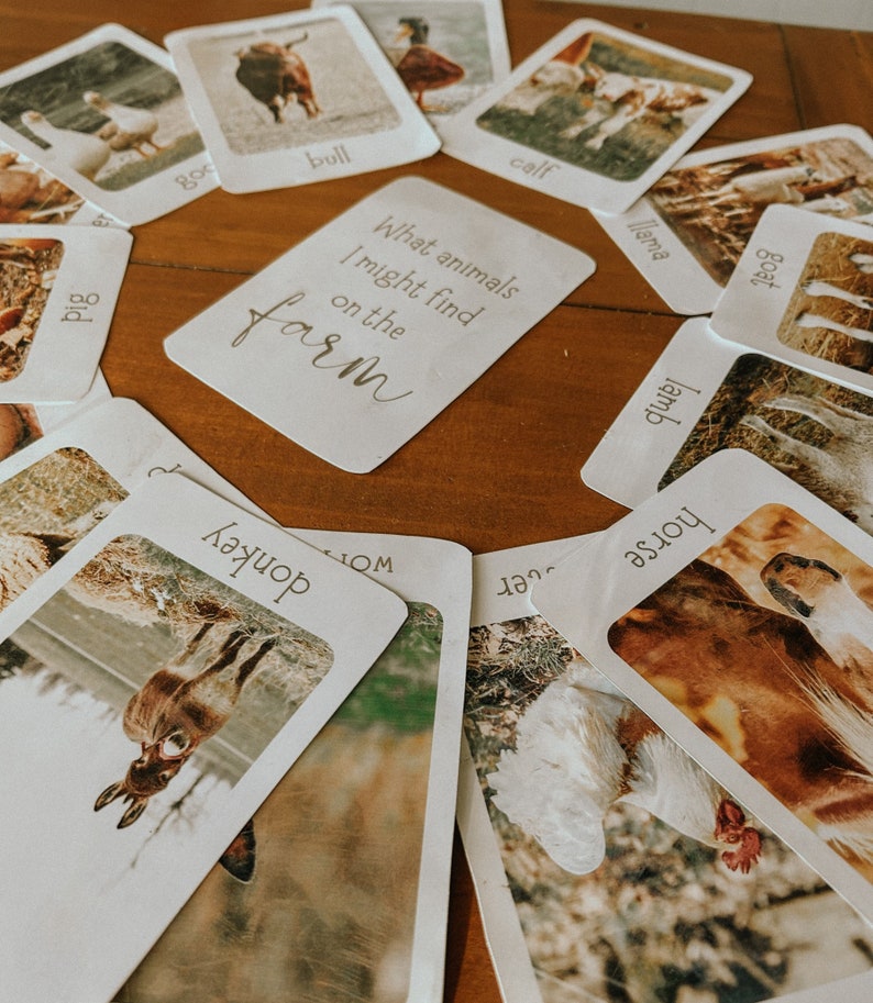 May include: A set of flashcards featuring farm animals, with the text "What animals I might find on the farm" on one card. The cards feature images of a pig, goat, lamb, horse, donkey, rooster, duck, bull, and calf.