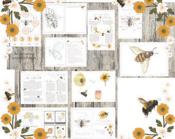 Mini natureza BEE UNIT