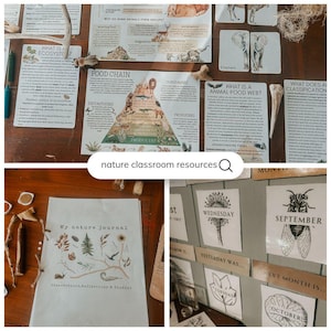 Może przedstawiać: Zestaw edukacyjnych materiał&oacute;w dydaktycznych o tematyce przyrodniczej do klasy. Obraz zawiera karty z informacjami o ekosystemach, łańcuchach pokarmowych i klasyfikacji zwierząt. Widoczny jest r&oacute;wnież dziennik i karty kalendarza z tekstem "My nature journal" i "nature classroom resources".