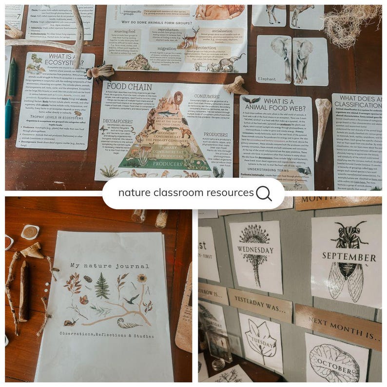 Może przedstawiać: Zestaw edukacyjnych materiał&oacute;w dydaktycznych o tematyce przyrodniczej do klasy. Obraz zawiera karty z informacjami o ekosystemach, łańcuchach pokarmowych i klasyfikacji zwierząt. Widoczny jest r&oacute;wnież dziennik i karty kalendarza z tekstem "My nature journal" i "nature classroom resources".