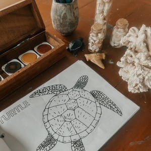 Puede incluir: Un dibujo en blanco y negro de una tortuga en una hoja de papel blanca. La palabra "TURTLE" está escrita en negro en la parte superior de la página.