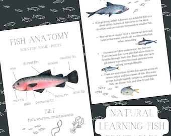 2 x natural learning fish printable set