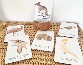 AUSTRALIA flashcards |VOCABULARY - Ausisie native animal | morning basket